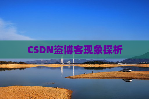 CSDN盗博客现象探析 CSDN盗博客现象探析